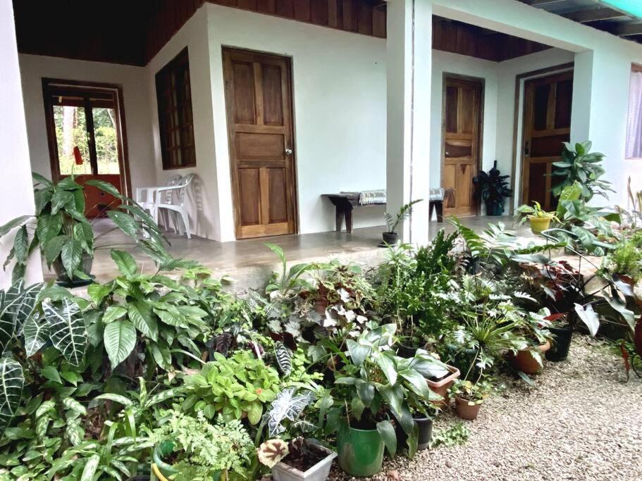 Hostal Casa Briza Nicoya Exterior foto