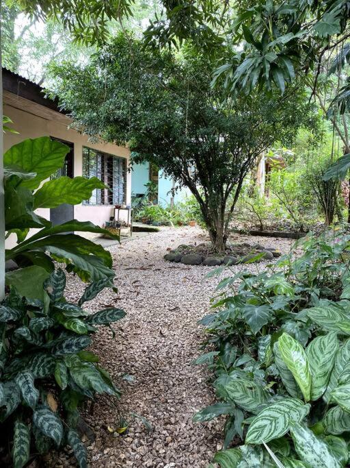 Hostal Casa Briza Nicoya Exterior foto
